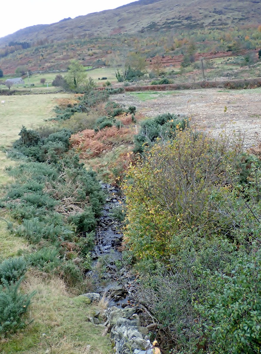 Title: View upstream along the Two Mile River. Copyright: Eric Jones. License: cc-by-sa/2.0. Source: https://www.geograph.ie/photo/6311773